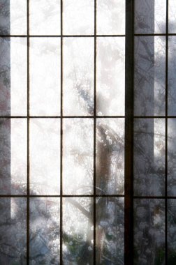 Pencerede kış ormanı ağaçları 