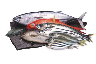 Taze balık arka plan görünümünü kapat 