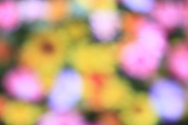 soyut renkli bokeh arkaplan, bulanık arkaplan      