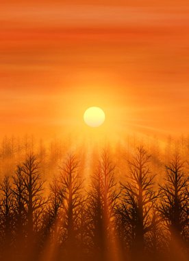 Ormandaki ağaçların siluetleri ve sabah güzel gökyüzü          