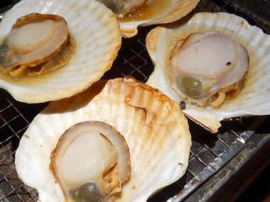 Yakın plan - ızgarada taze taze istiridye