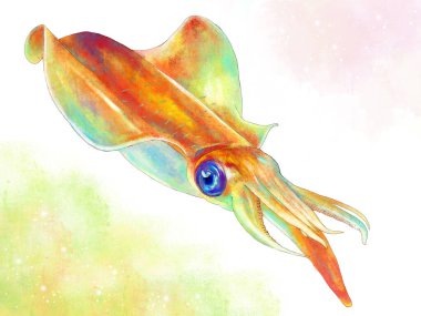 kalamar el çizimi suluboya çizimi