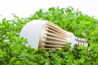 Arka plandaki çimenlikteki ampulü kapat.