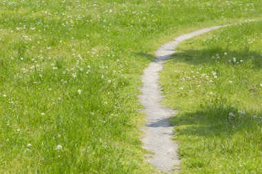 Güzel bahar çiçekleri, patika ve parktaki yeşil çimenler      