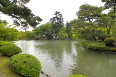 Parktaki gölet, Japon bahçesi.