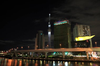 Işıklı güzel, modern şehrin gece manzarası 