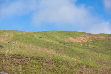 dağlarda yeşil tepeler