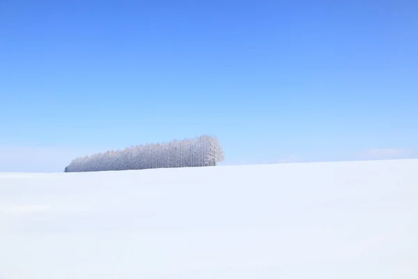 Campo Cubierto Nieve Cielo Azul — Foto de Stock