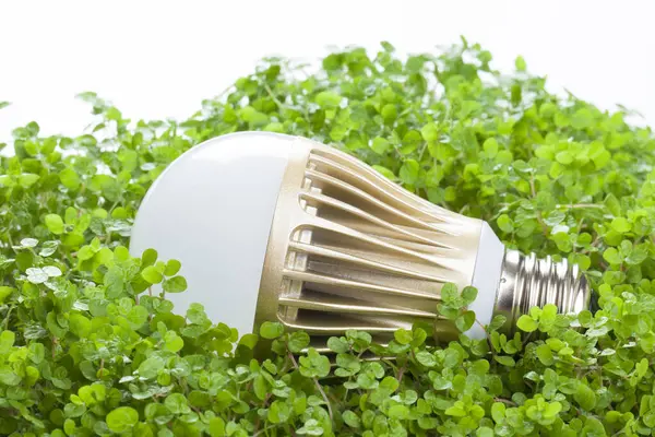 Arka plandaki çimenlikteki ampulü kapat.