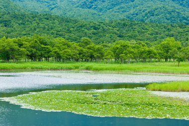 Yeşil ormanlı bir göl ve arka planda dağlar.