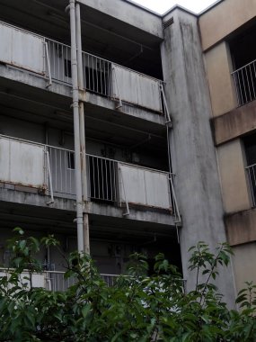 Terk edilmiş apartmanda yıpranmış balkonlar ve aşırı büyümüş yapraklar görünüyor.