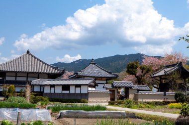 Japon köyünün manzarası