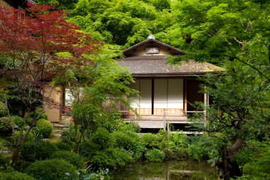 Antik Japon tapınağının manzaralı görüntüsü