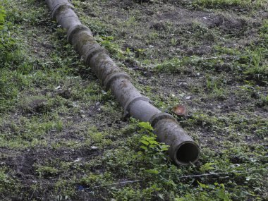 Yıpranmış bambu sırığı çimlerin üzerinde düz olmayan bir yerde yatıyordu.