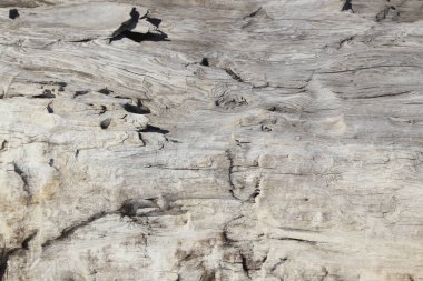 eski ahşap arkaplan dokusu