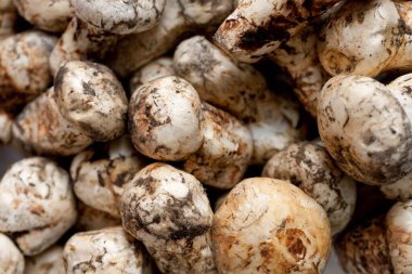 Taze organik mantarların yakın plan görüntüsü