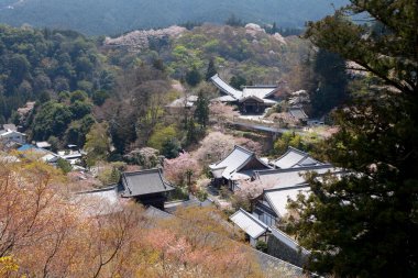 Antik Asya 'nın zengin kültürel dokusunu, karmaşık heykeller ve canlı renklerle dolu çarpıcı bir geleneksel tapınak..