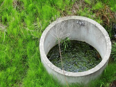 Beton su kuyusu yüksek yeşil çimlerle çevrili.
