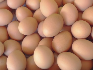 Taze yumurtalar arka planı kapatın 