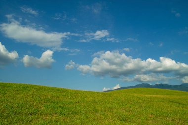Yeşil tarla ve beyaz bulutlu mavi gökyüzü