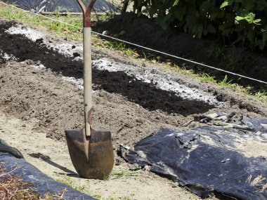 Kürek, bahçe örtüsü olarak da bilinen siyah plastik muşambanın yakınındaki bir toprak yığının içinde duruyor.