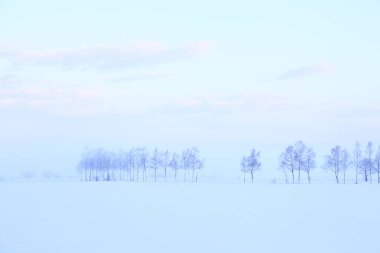 Arkaplan için güzel karlı manzaranın manzaralı görüntüsü