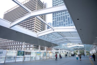 Tokyo, Japonya 'daki tren istasyonundaki yolcular. 