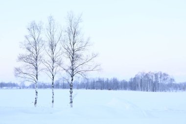 Arkaplan için güzel karlı manzaranın manzaralı görüntüsü