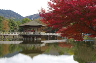 Japon parkında sonbahar. Ağaçlar, köprü ve dağlar sakin gölete yansıyor.