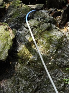 Ormanda yosunlu eski paslı metal bir boru.