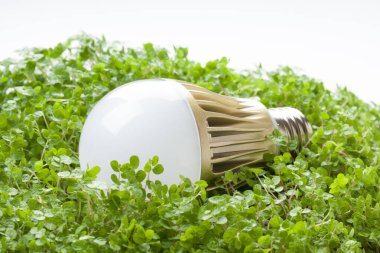 Arka plandaki çimenlikteki ampulü kapat.