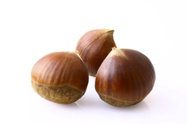 Kabuktaki çiğ fındık görüntüsünü kapat