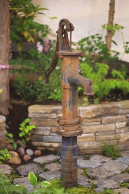 Yeşil bitki ve taşlarla çevrili paslı su pompası