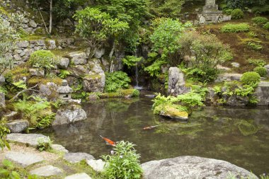 Güzel Japon bahçesinde göletli küçük şelale.