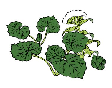 Yapraklı ve çiçekli el çizimi bitkiler