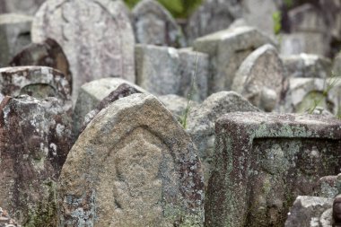 İsimsiz ölülerin mezarına yakın çekim görüntüsü