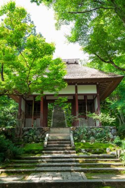Güzel Japon tapınağı, Budizm konsepti