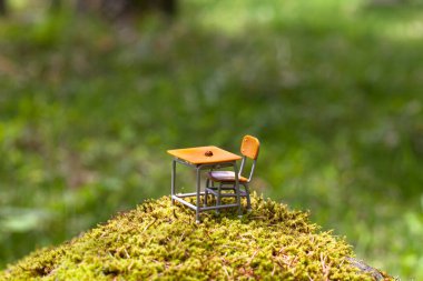 oyuncak boş okul masası ve yosun üzerinde sandalye, çimlerin üzerinde minyatür nesneler