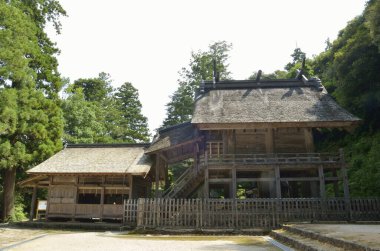 Geleneksel Japon ahşap tapınağı yemyeşil ağaçlarla çevrili.