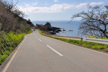 Deniz manzaralı bir yol. 