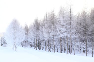 Arkaplan için güzel karlı manzaranın manzaralı görüntüsü