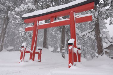Japonya 'nın Haguro Dağı girişinde büyük bir torii.