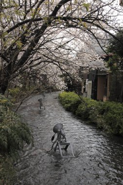 Kiraz çiçekleri ve çiçekler güzel bir arka plan. 