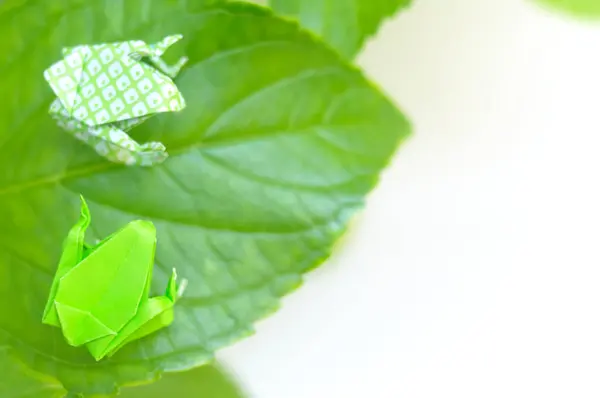 Origami Frogs Green Leaf — Stock Photo, Image
