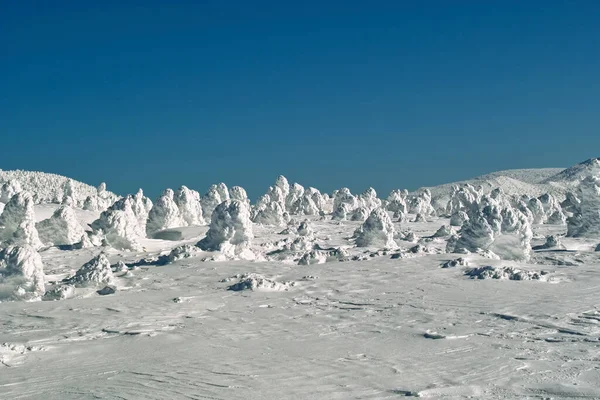Зимой Покрытая Снегом Гора — стоковое фото