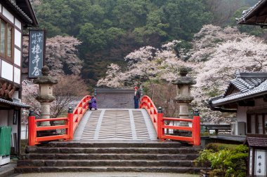 Antik Japon tapınağının manzaralı görüntüsü