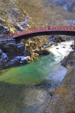 Kış orman içinden akan nehir
