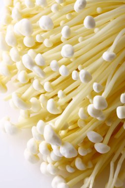 Beyaz arkaplanda shimoji mantarları