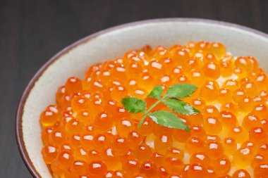 kırmızı havyar yakın görüntü 