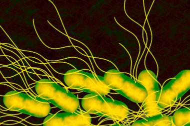 Koyu renkli ve kıvrımlı bir sıvıda kırbaçlanmış bakterinin grafiksel çizimi.